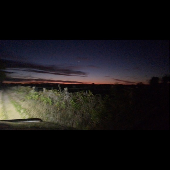 Meet your Posher, Miah - Picture 1 of 1